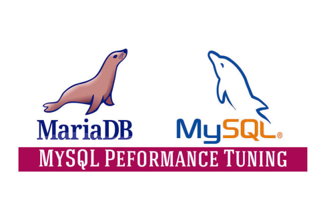 I will optimize mysql or mariadb database server