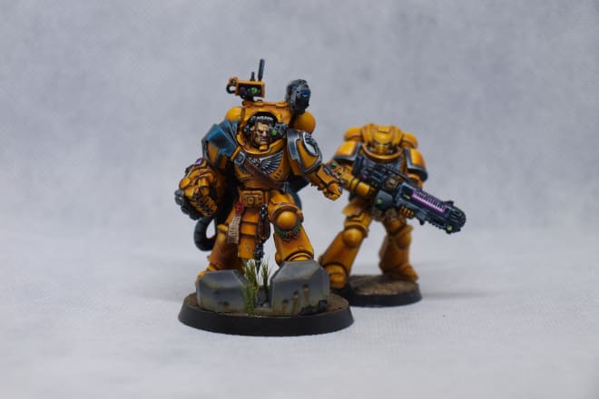 I will paint your tabletop and wargame miniatures