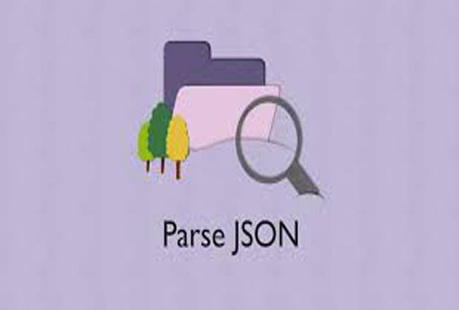 I will parse json, rest api data using PHP