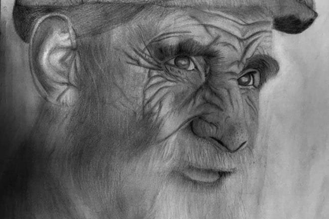 I will pencil sketch any of your portraits