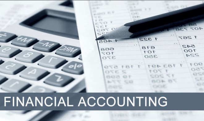 I will prepare financial statements and accounting services