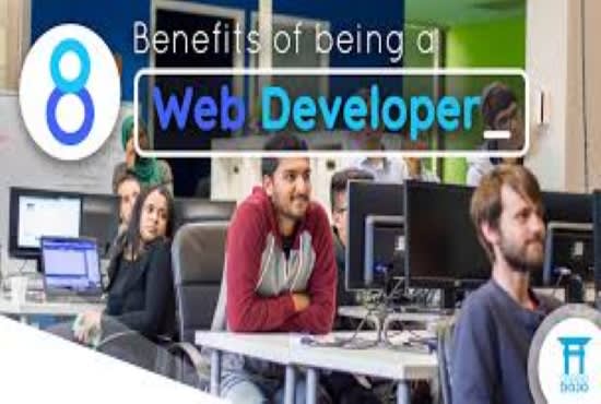 I will professional web developers ecommerce website development