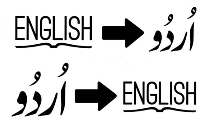 I will professionally and manually translate urdu to english and vice versa