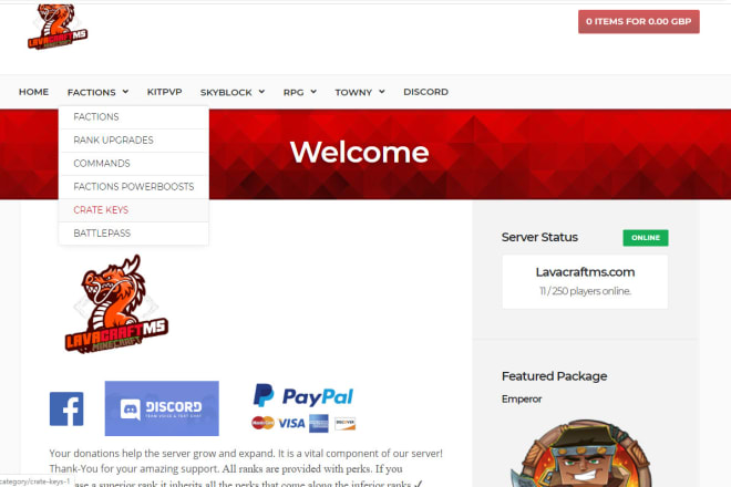 I will professionally create a minecraft server donation store earn money instantly