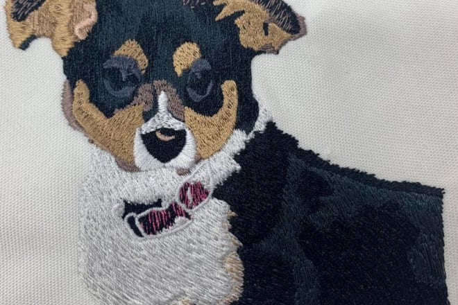 I will professionally embroidery digitizing in wilcom software