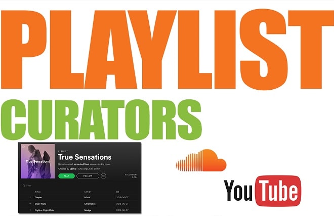 I will promote and submit your music to top 300 most popular playlist curator