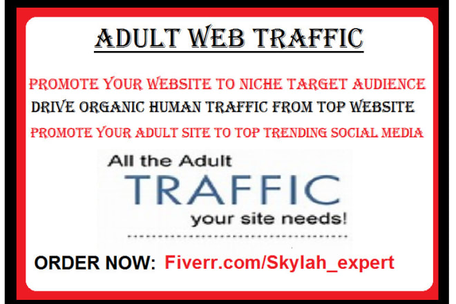 I will promote your adult web traffic to an active USA audience