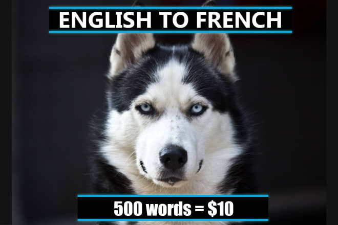 I will provide a high quality english to french translation