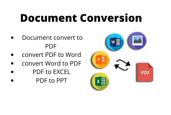 I will provide document conversion services