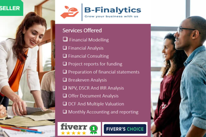 I will provide financial analysis, project report,ratio analysis,accounting