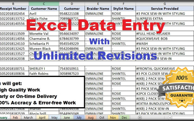 I will provide perfect excel data entry