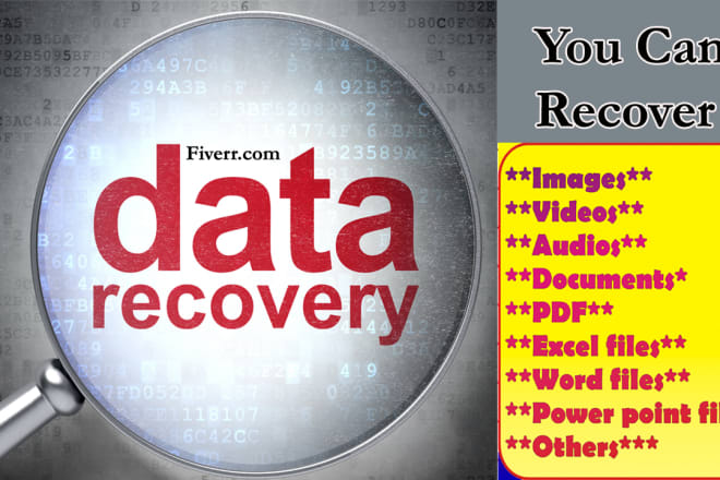 I will provide Premium Data Recovery Software within 10 hours