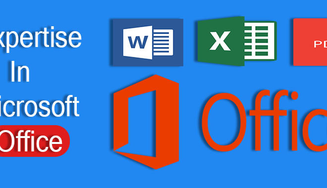 I will provide professional services in ms excel, ms word, PDF editor