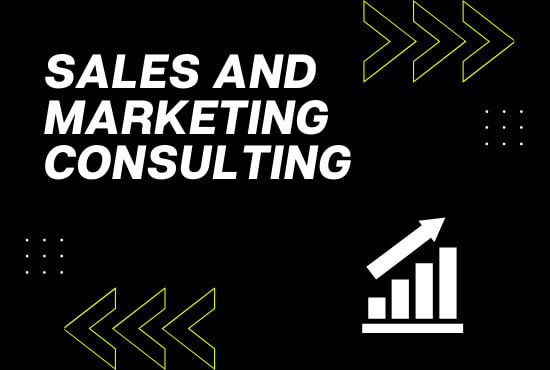 I will provide sales and marketing consulting for your business