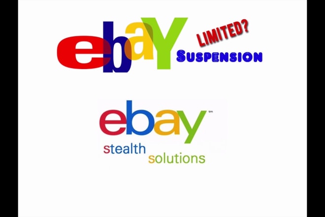 I will provide you ebay stealth pdf book
