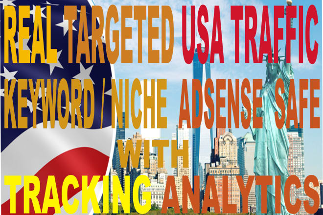 I will send super targeted USA traffic real organic web visitors