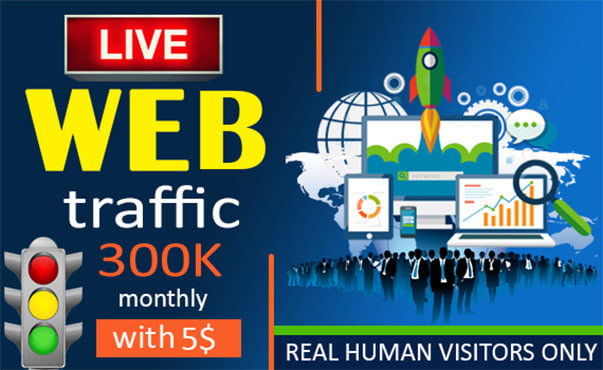 I will send web traffic to web pages by special package