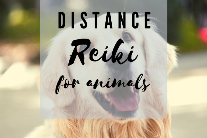 I will send your pets healing distance reiki