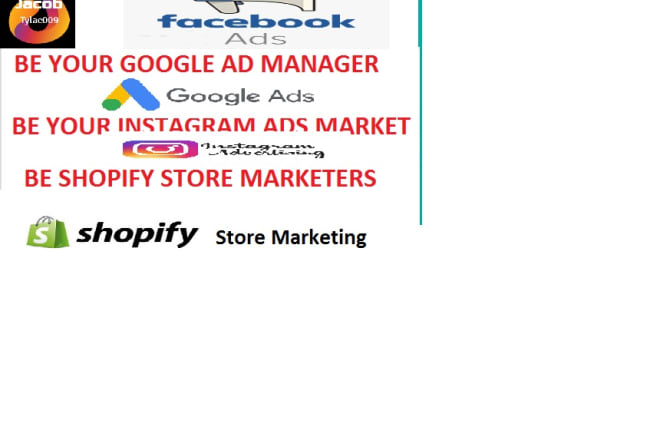 I will set up facebook ads campaign, google adwords, instagram shopify store marketing