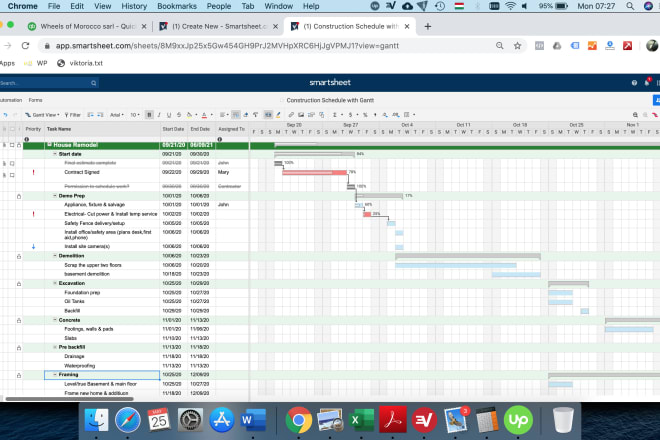 I will setup gantt chart timeline for your project