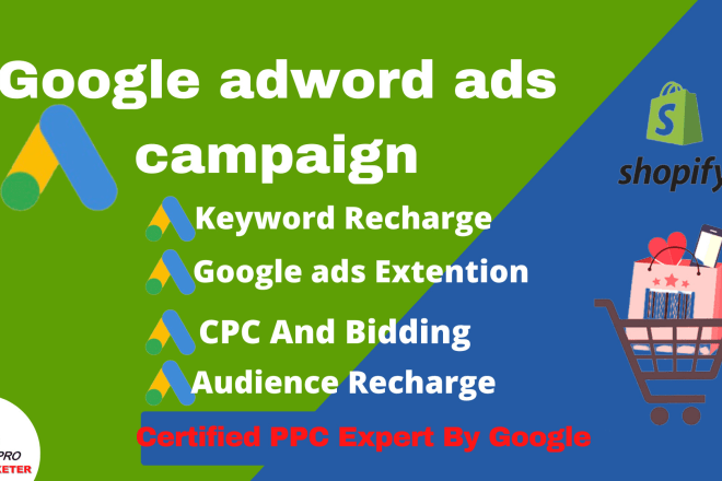 I will setup shopify google adword ads ppc campaign