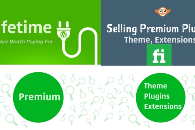 I will setup wordpress premium plugins, themes, extensions