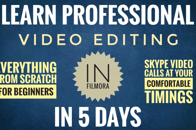 I will teach or consult you professional video editing on filmora