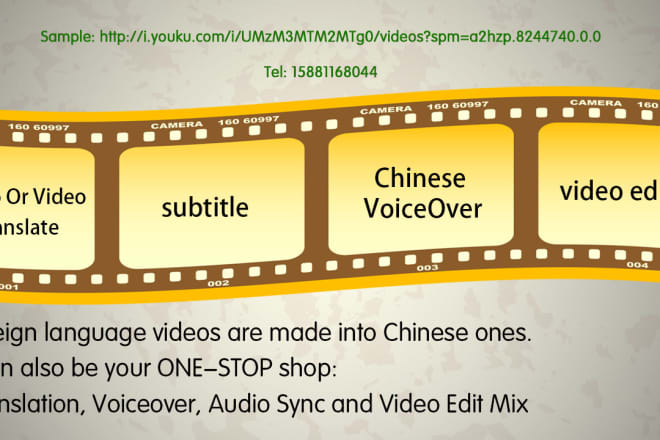 I will translate any audio and video to chinese