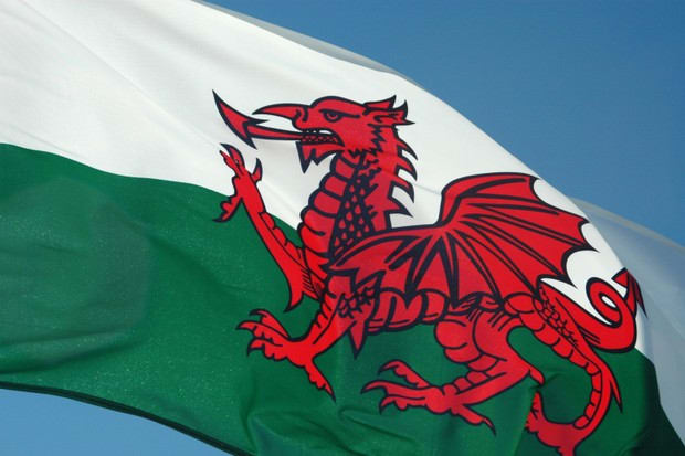 I will translate any text and documents from or to welsh