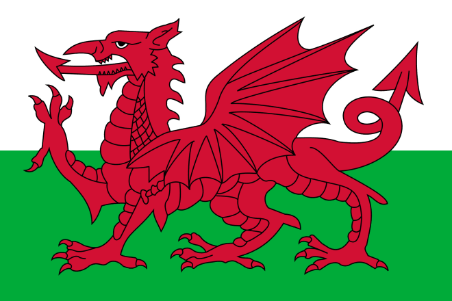 I will translate to or from english or welsh