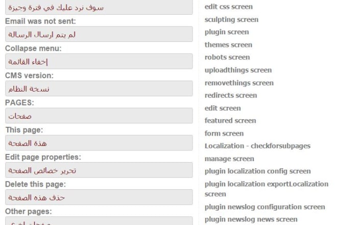I will translate your apps or web projects into arabic language