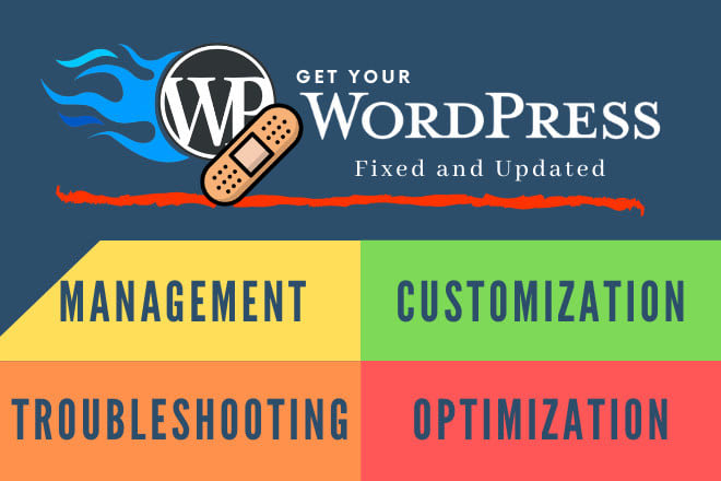 I will update, manage, migrate, optimize, fix wordpress website