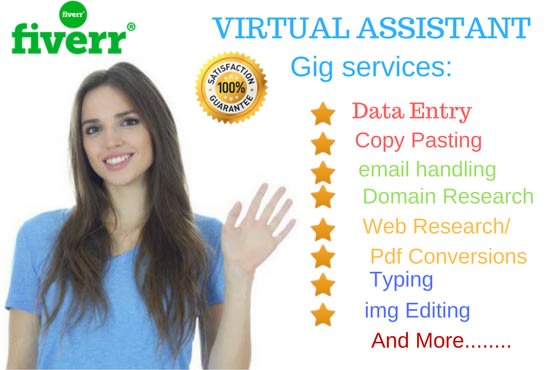 I will virtual assistant web scrape data collection data mining