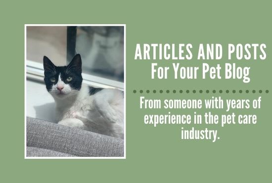 I will write a blog post or article about pets