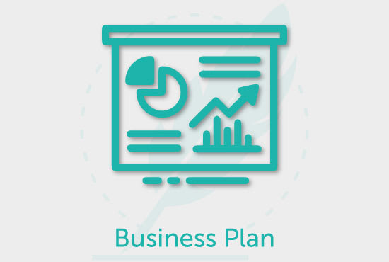 I will write a professional business plan for you