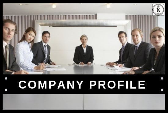 I will write a standout company profile for you