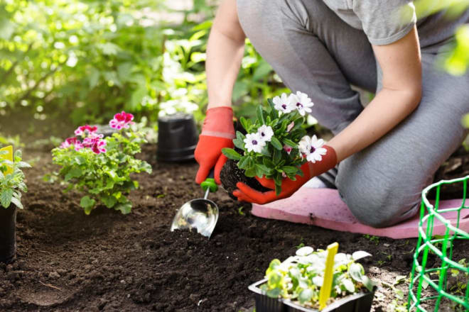 I will write SEO omptimized gardening blogs