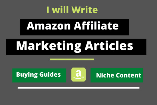 I will write stunning amazon affiliate marketing articles for micro niche blog