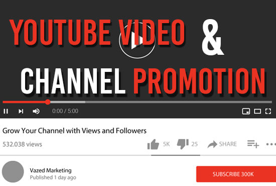 I will youtube promotion with social and paid ads encouraging views