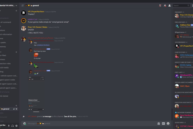 I will a professional discord server for your community