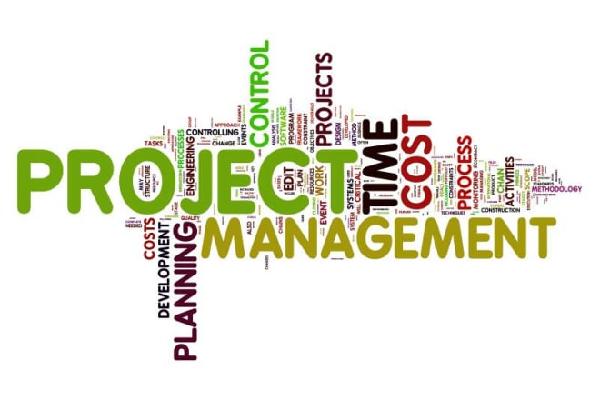 I will assistant in project management report, assignment, projects