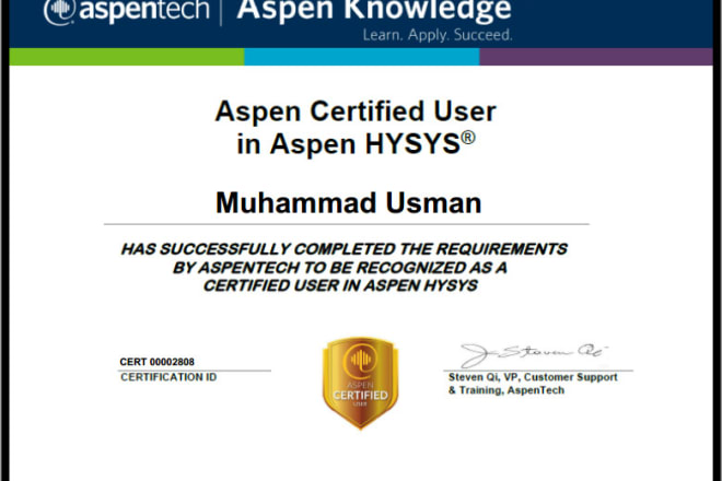 I will be your aspen hysys, plus, edr expert