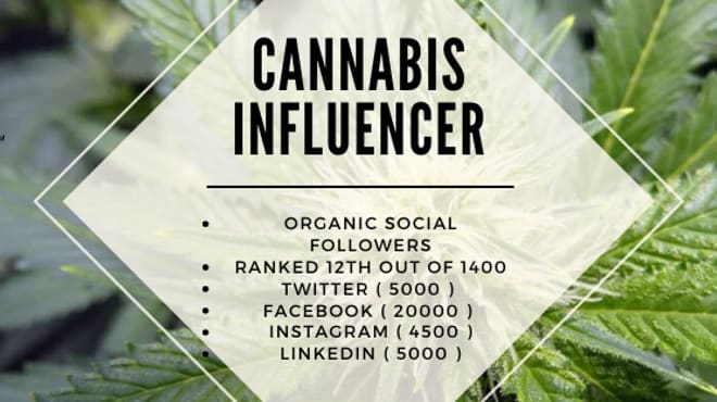 I will be your cannabis influencer
