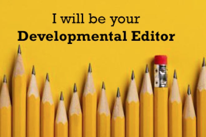 I will be your developmental editor