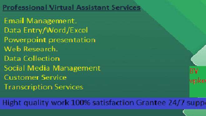 I will be your professional virtual assistant