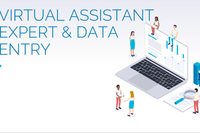 I will be your USA based virtual assistant and data entry expert