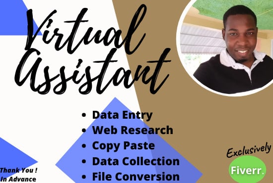 I will be your virtual assistant for data entry and web research