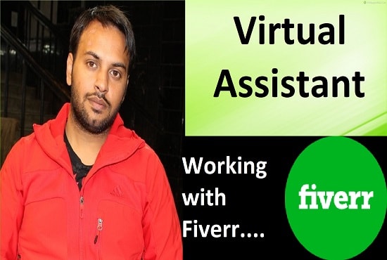 I will be your virtual assistant for web research, data entry, copy paste