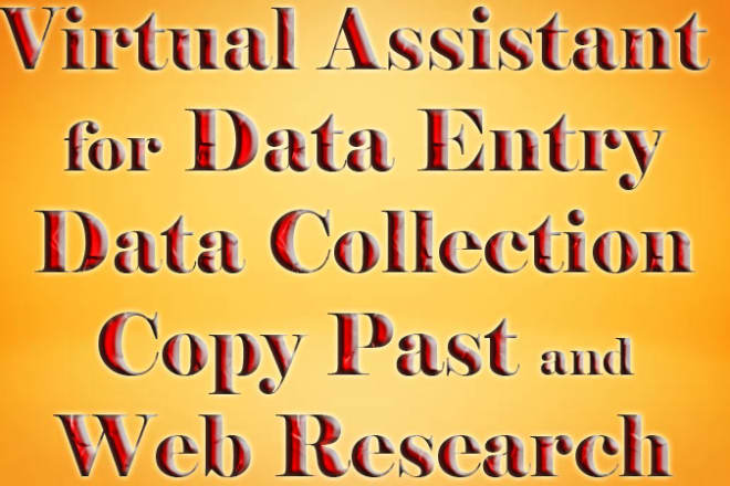 I will be your virtual assistant for web research,data entry,data mining,copy paste