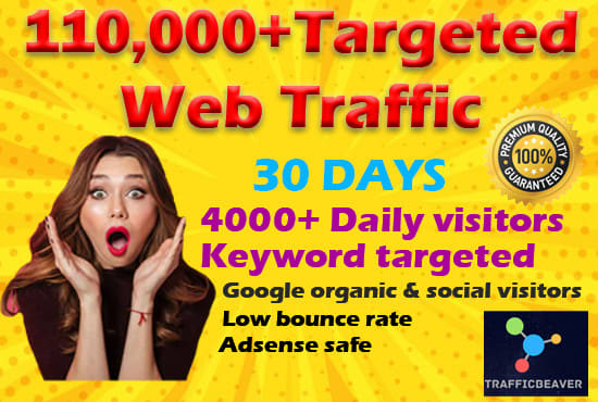 I will bring genuine real targeted organic web traffic SEO